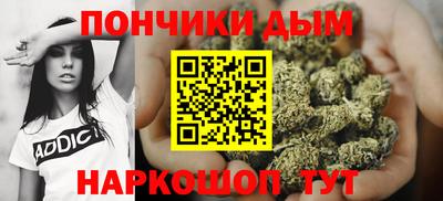 спиды Гай