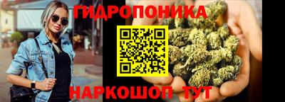 герыч Гатчина