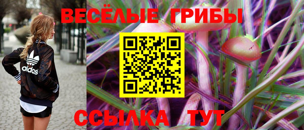Псилоцибиновые грибы мицелий Орехово-Зуево